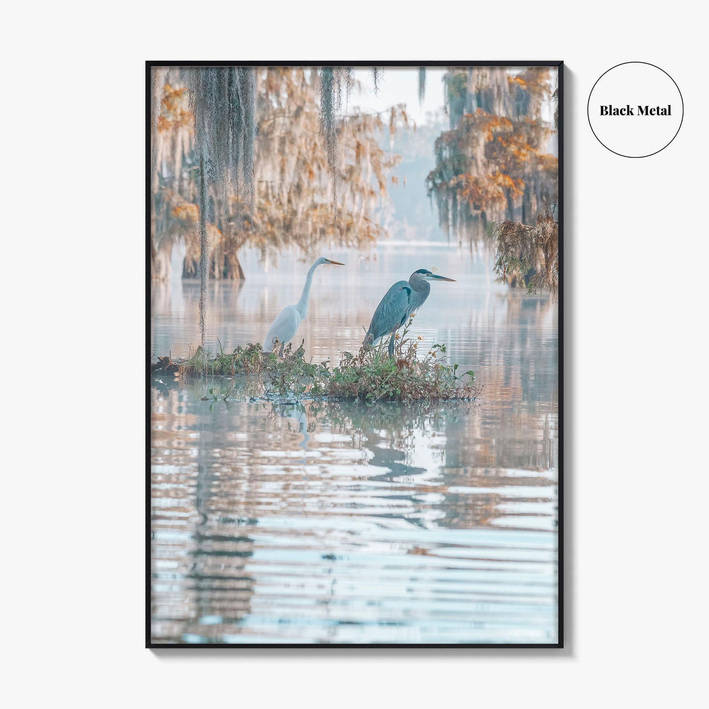 Louisiana Fine Art Photo Print, Atchafalaya Basin, Lafayette, Caddo Lake, Swamp Wall Poster