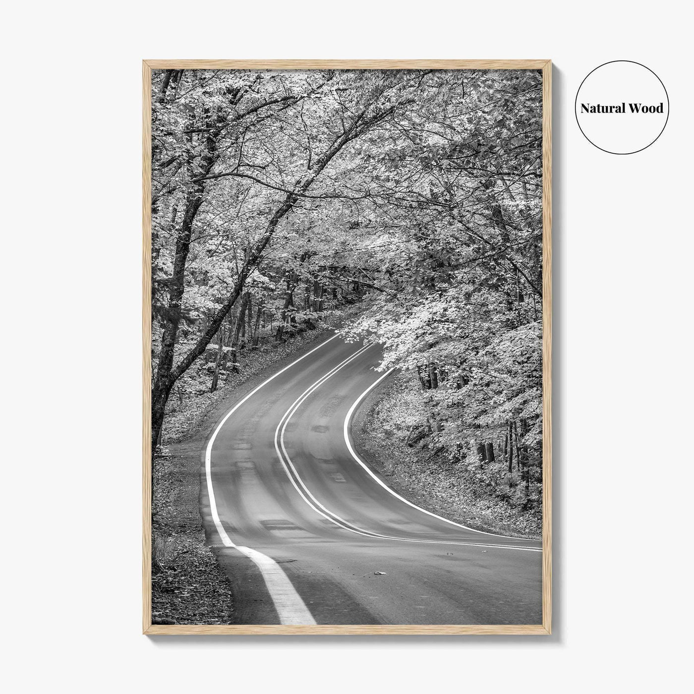 Michigan Black and White Fine Art Photo Print, Keweenaw Peninsula Scenic Byway M41 Poster