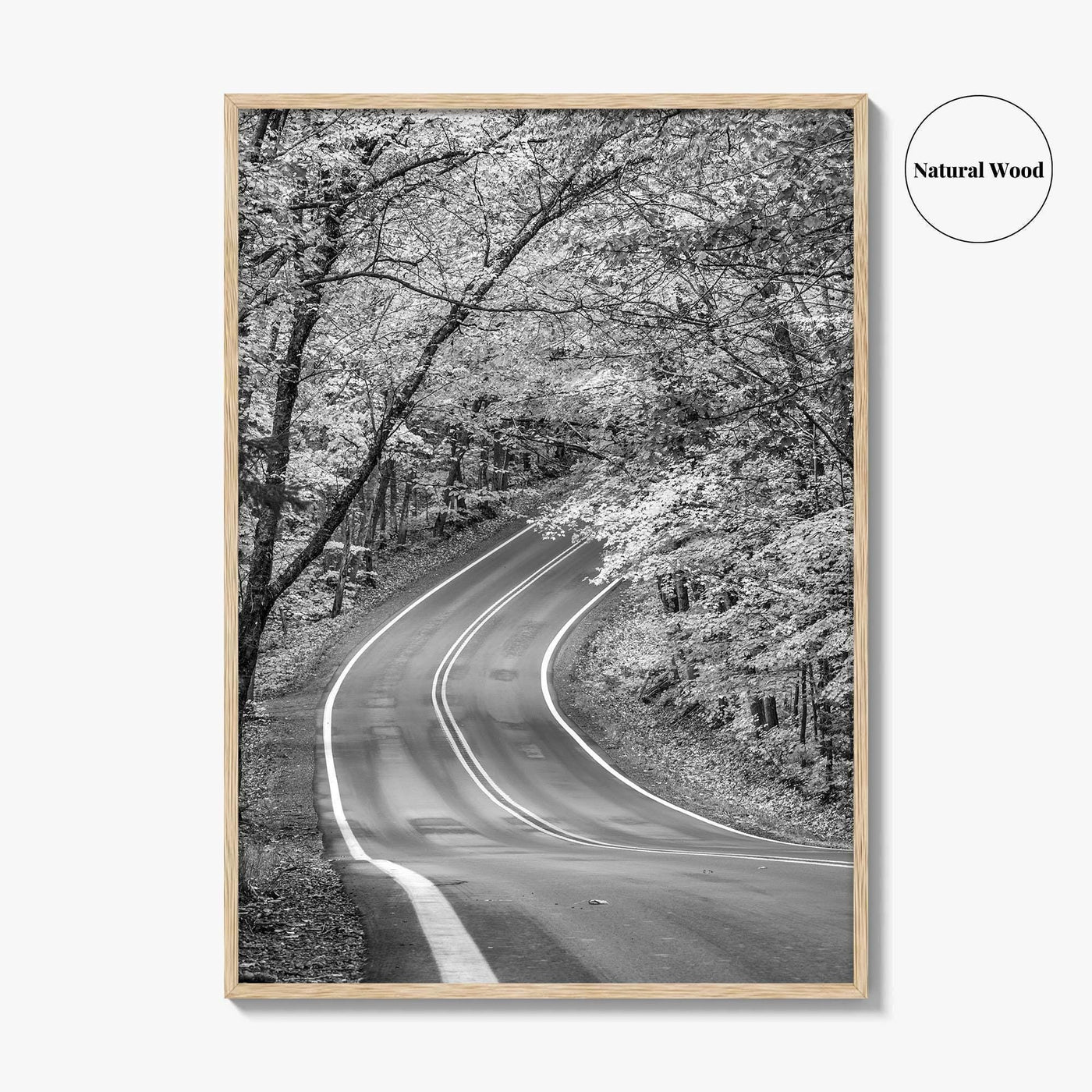 Michigan Black and White Fine Art Photo Print, Keweenaw Peninsula Scenic Byway M41 Poster