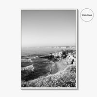 La Jolla Black and White Fine Art Photo Print, San Diego California Poster