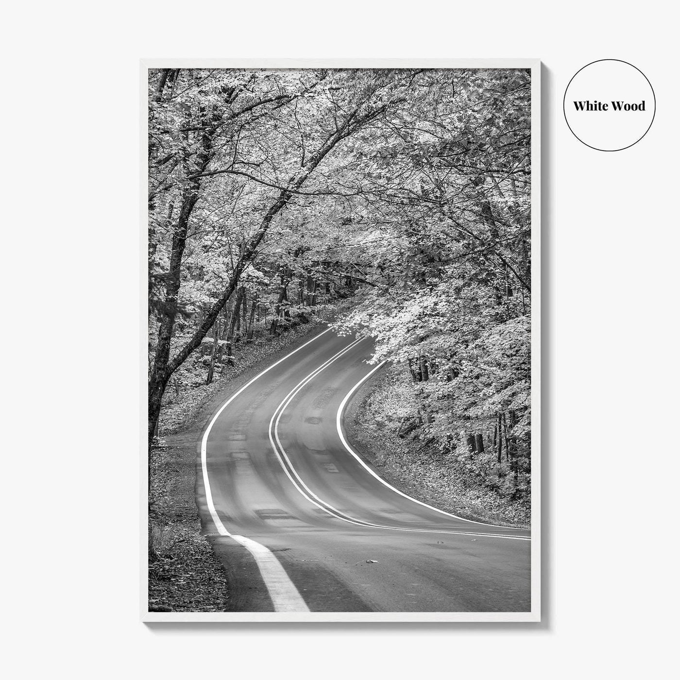 Michigan Black and White Fine Art Photo Print, Keweenaw Peninsula Scenic Byway M41 Poster