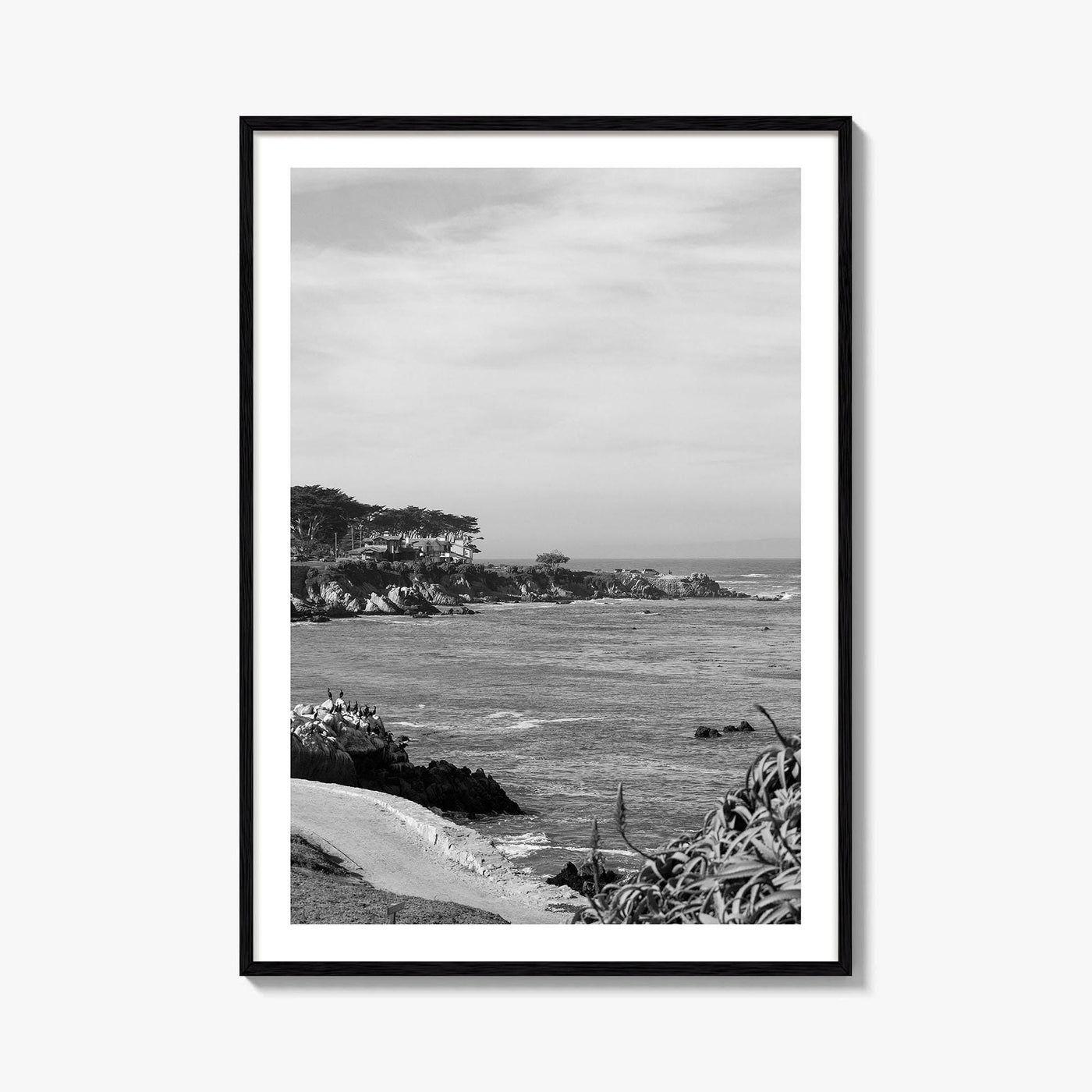 Pacific Grove Black and White Fine Art Photo Print, Monterey Coastline, California Poster