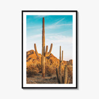 Organ Pipe Cactus National Monument Fine Art Photo Print, Sonoran Desert, Arizona Wall Poster