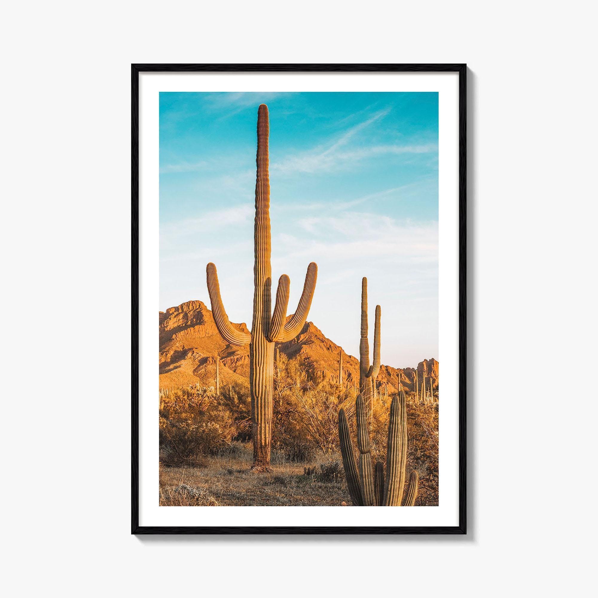 Organ Pipe Cactus National Monument Fine Art Photo Print, Sonoran Desert, Arizona Wall Poster
