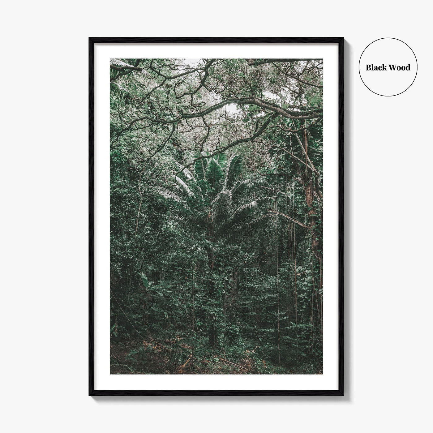 Oahu Fine Art Photo Print, Hawaii Wall Poster, Maui Kauai USA