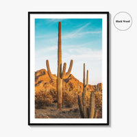 Organ Pipe Cactus National Monument Fine Art Photo Print, Sonoran Desert, Arizona Wall Poster