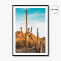 Organ Pipe Cactus National Monument Fine Art Photo Print, Sonoran Desert, Arizona Wall Poster