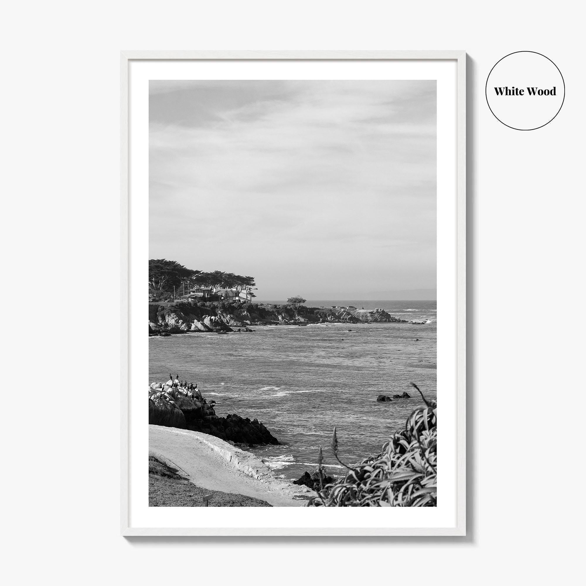 Pacific Grove Black and White Fine Art Photo Print, Monterey Coastline, California Poster