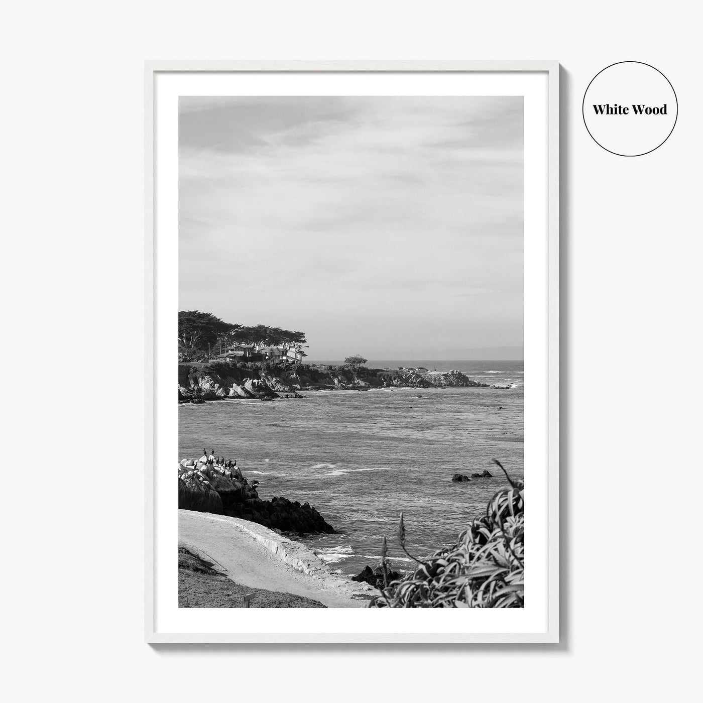 Pacific Grove Black and White Fine Art Photo Print, Monterey Coastline, California Poster