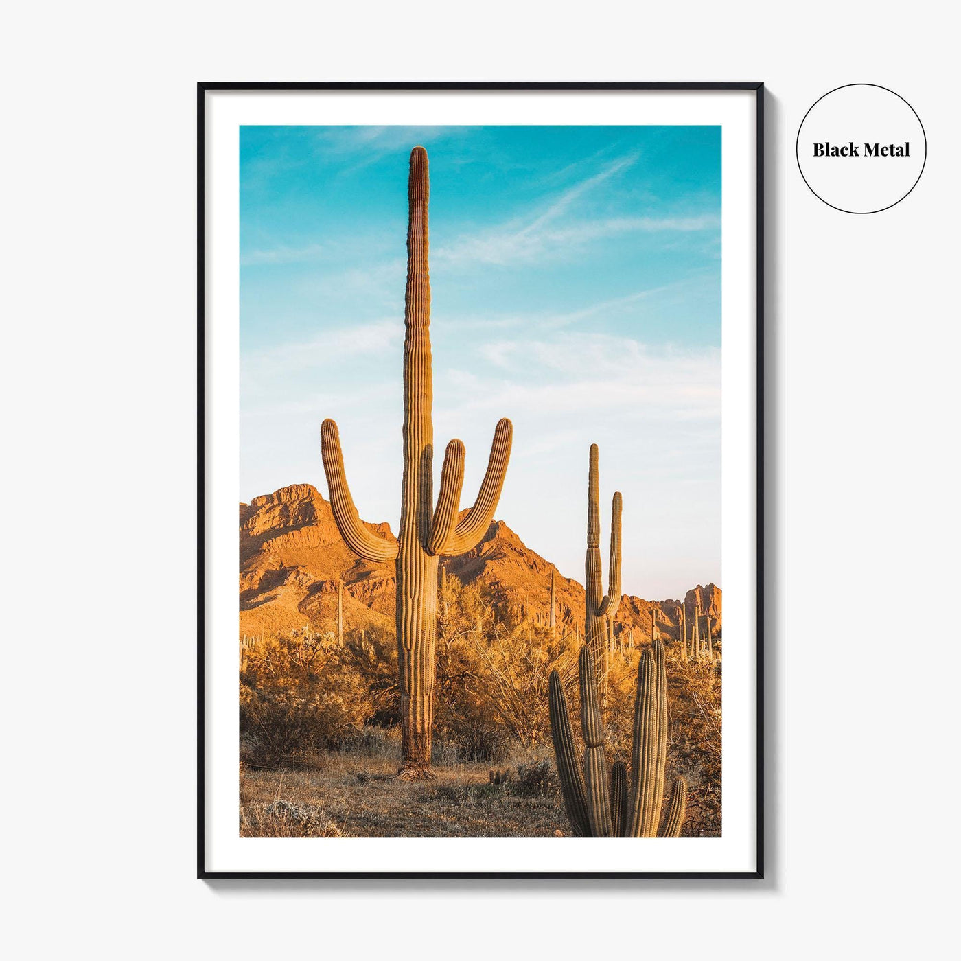 Organ Pipe Cactus National Monument Fine Art Photo Print, Sonoran Desert, Arizona Wall Poster