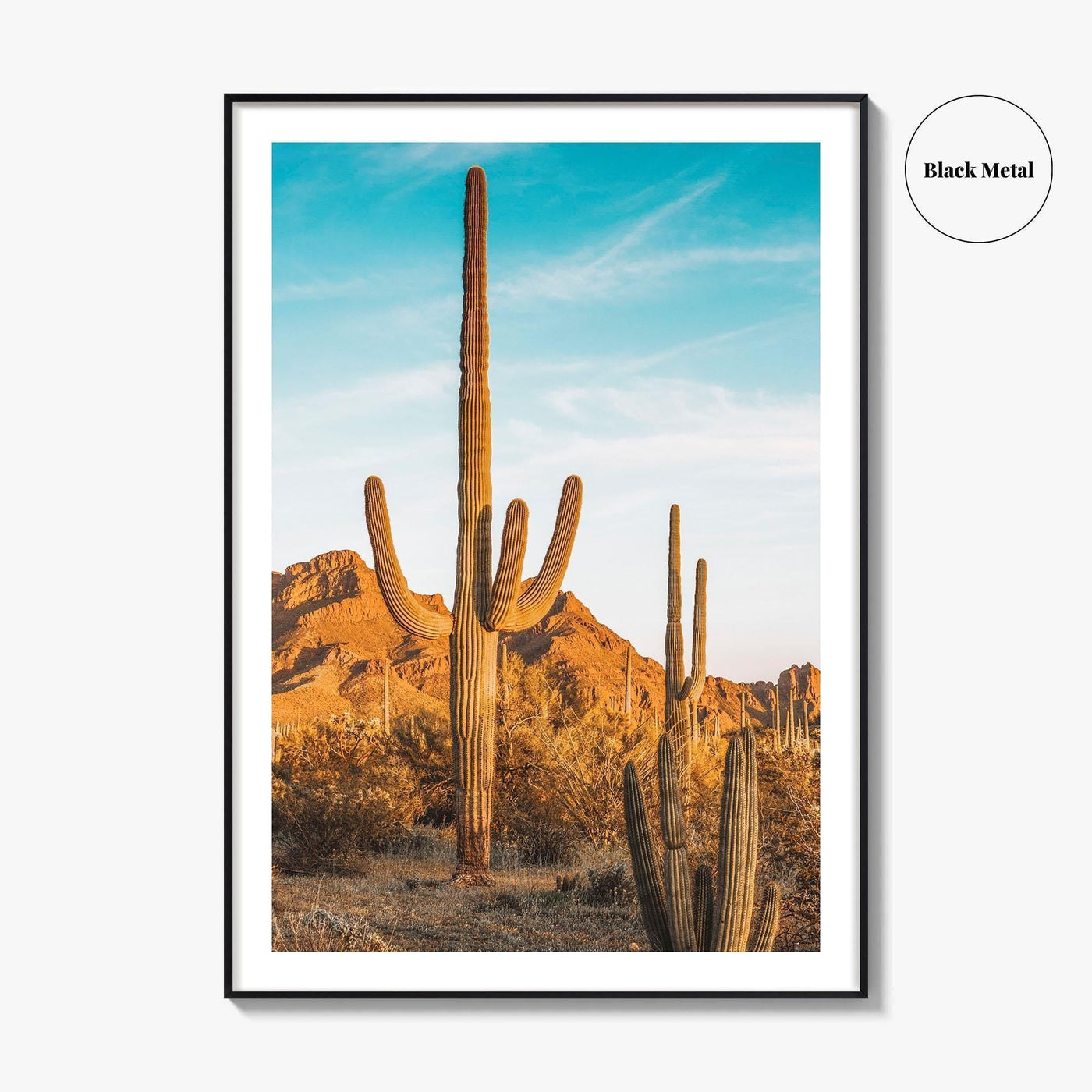 Organ Pipe Cactus National Monument Fine Art Photo Print, Sonoran Desert, Arizona Wall Poster