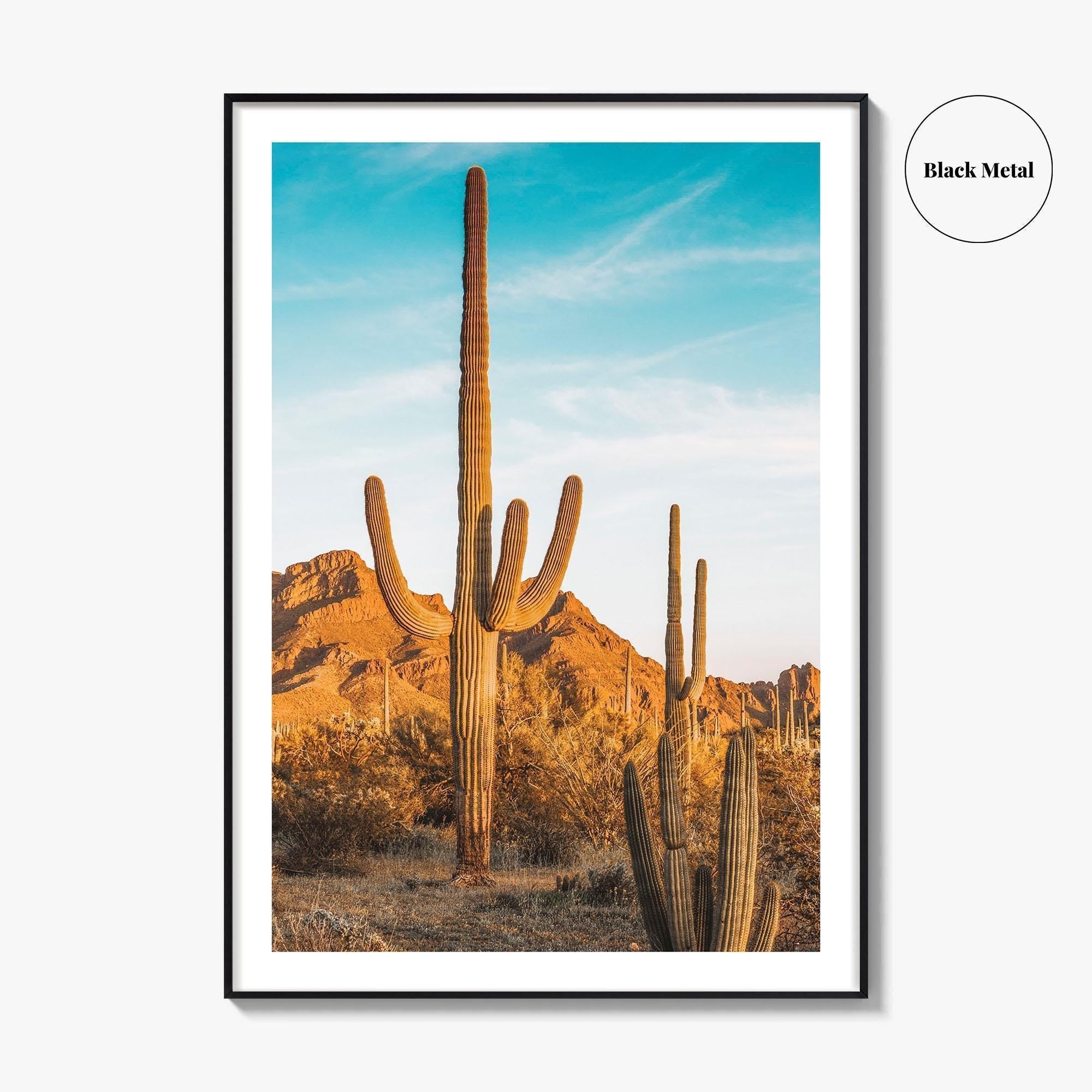 Organ Pipe Cactus National Monument Fine Art Photo Print, Sonoran Desert, Arizona Wall Poster