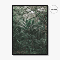 Oahu Fine Art Photo Print, Hawaii Wall Poster, Maui Kauai USA