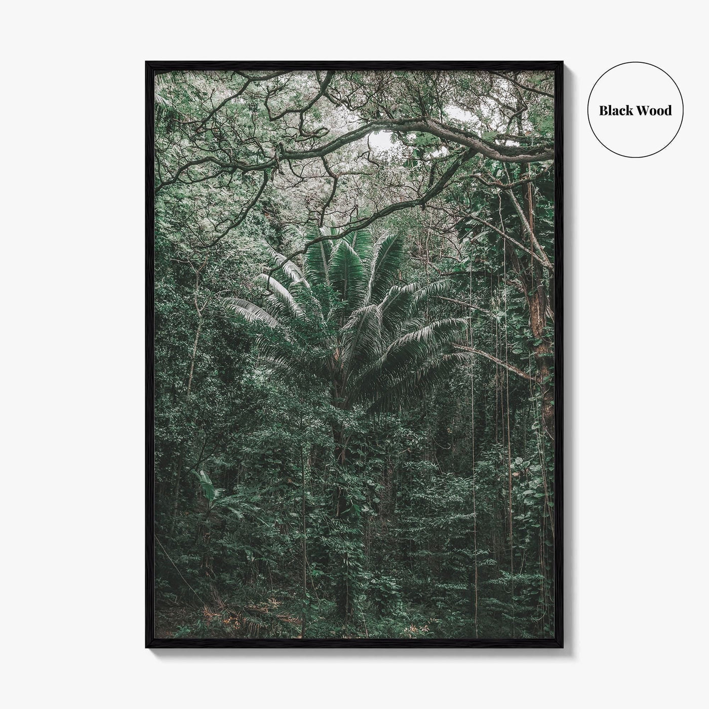Oahu Fine Art Photo Print, Hawaii Wall Poster, Maui Kauai USA