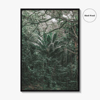 Oahu Fine Art Photo Print, Hawaii Wall Poster, Maui Kauai USA