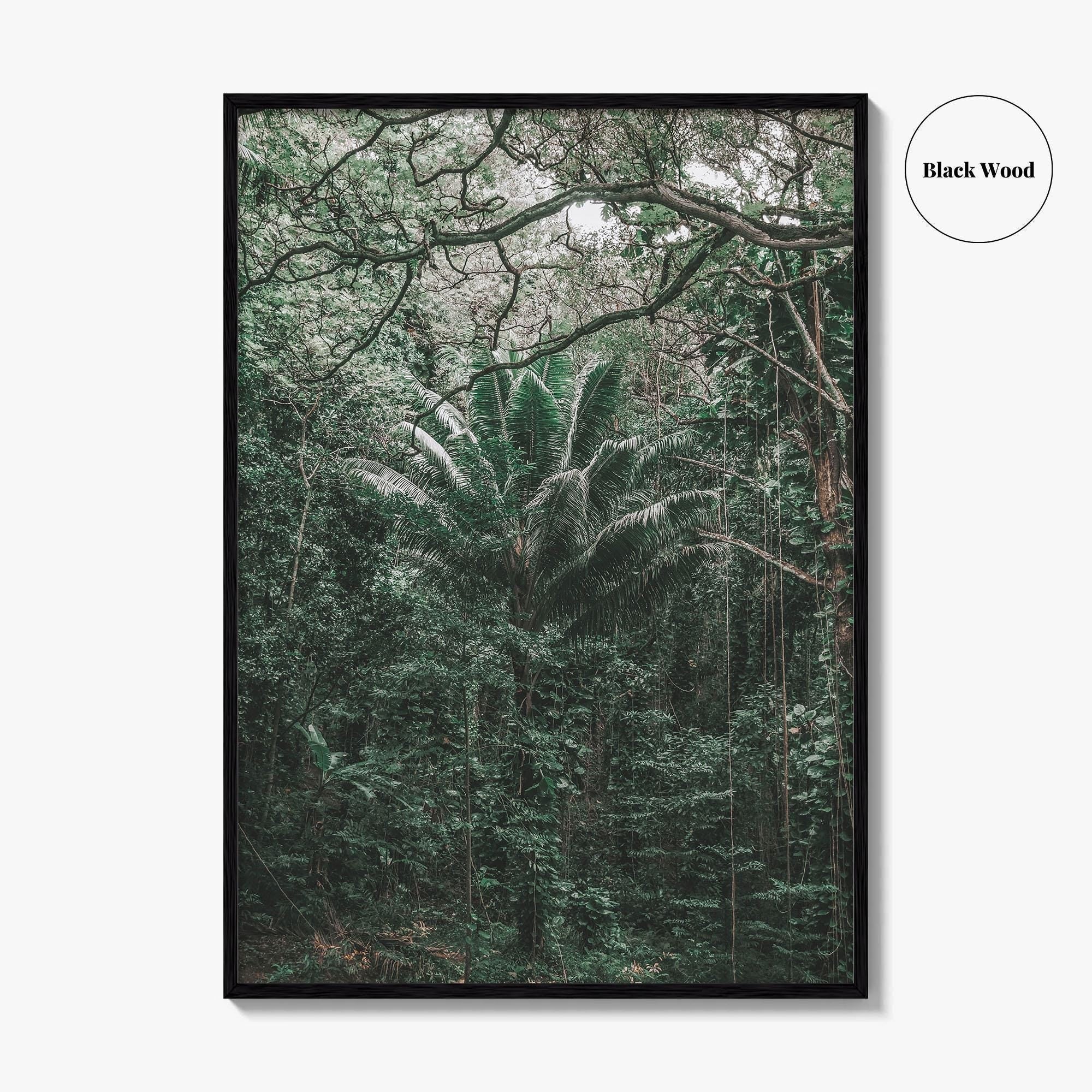 Oahu Fine Art Photo Print, Hawaii Wall Poster, Maui Kauai USA