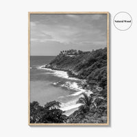 Puerto Escondido Black and White Fine Art Photo Print, Carrizalillo Beach, Oaxaca Mexico Poster