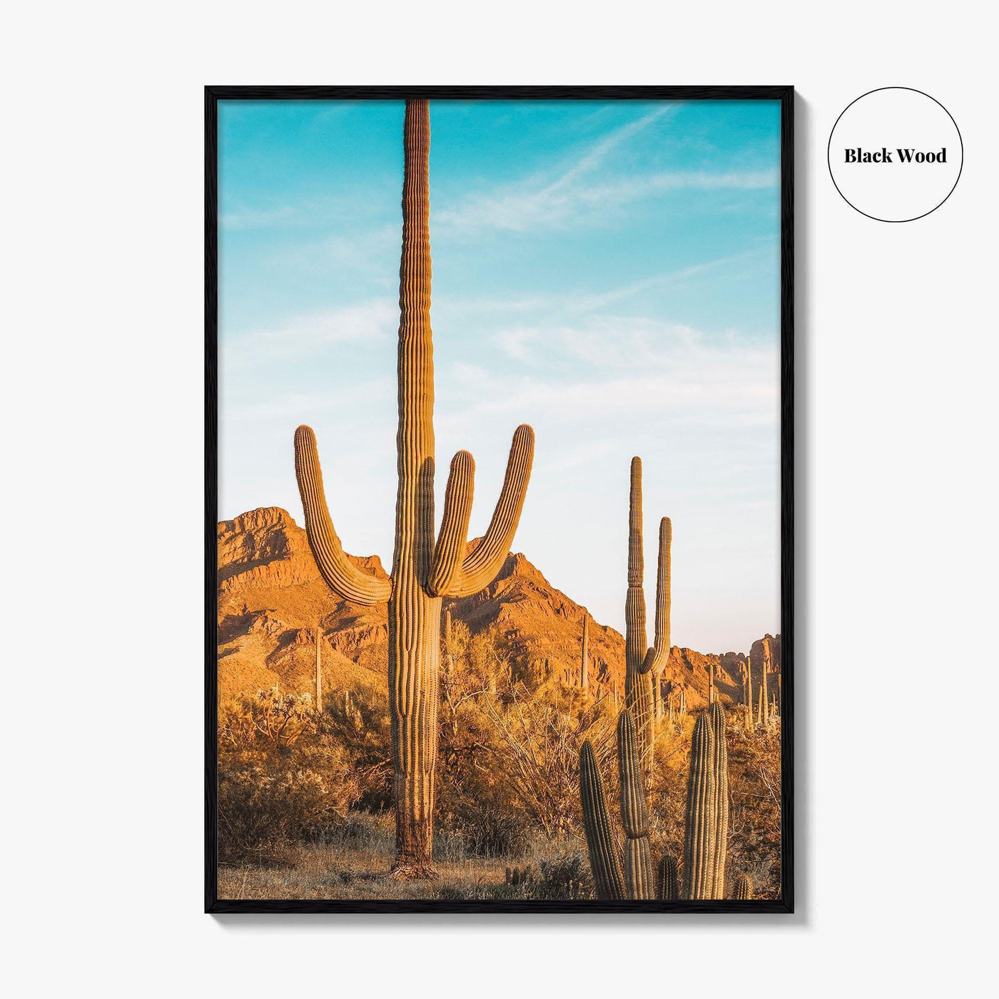 Organ Pipe Cactus National Monument Fine Art Photo Print, Sonoran Desert, Arizona Wall Poster