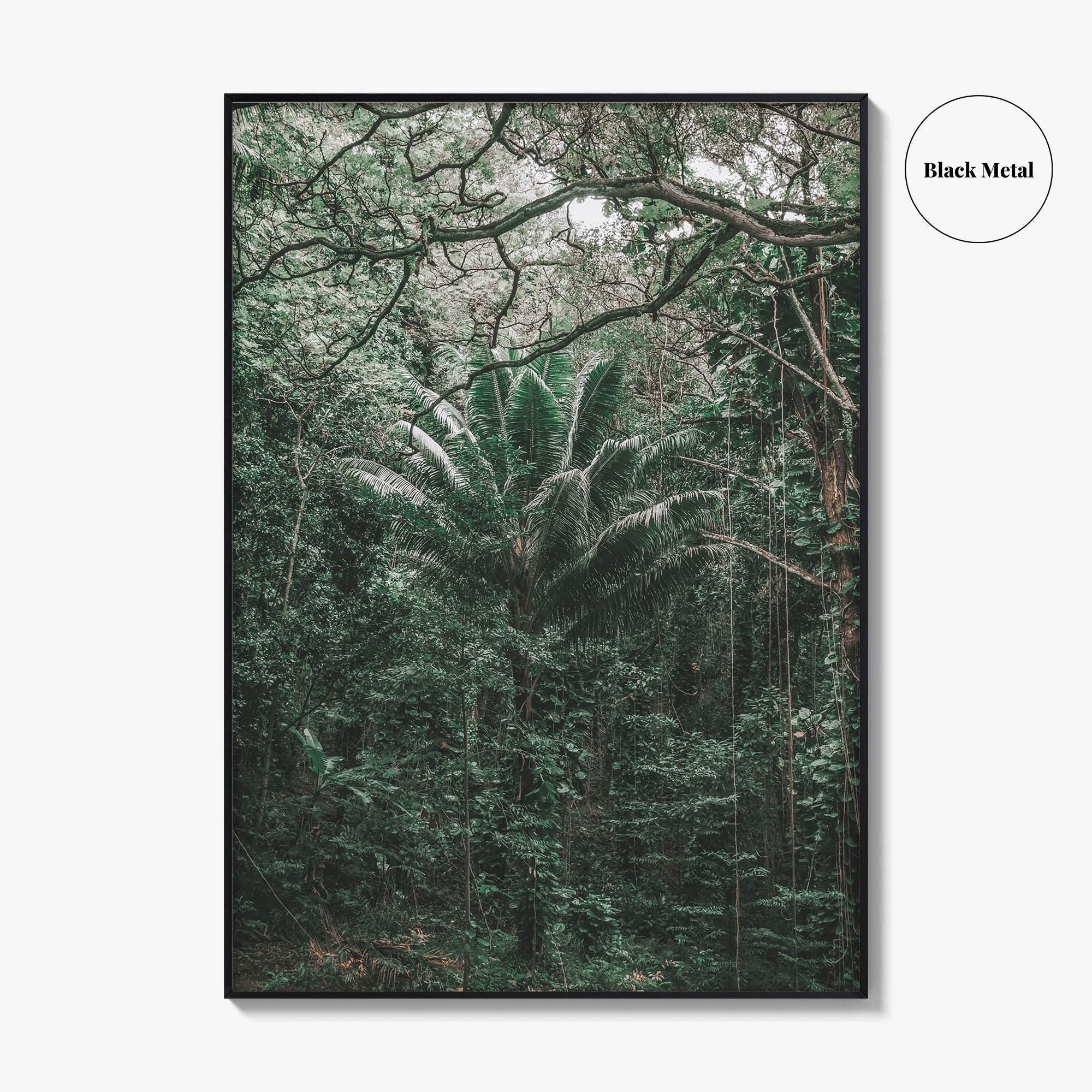 Oahu Fine Art Photo Print, Hawaii Wall Poster, Maui Kauai USA