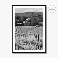Napa Valley Black and White Fine Art Photo Print, Vineyards California Poster
