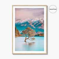 New Zealand Fine Art Photo Print, That Wanaka Tree, South Island Wall Poster