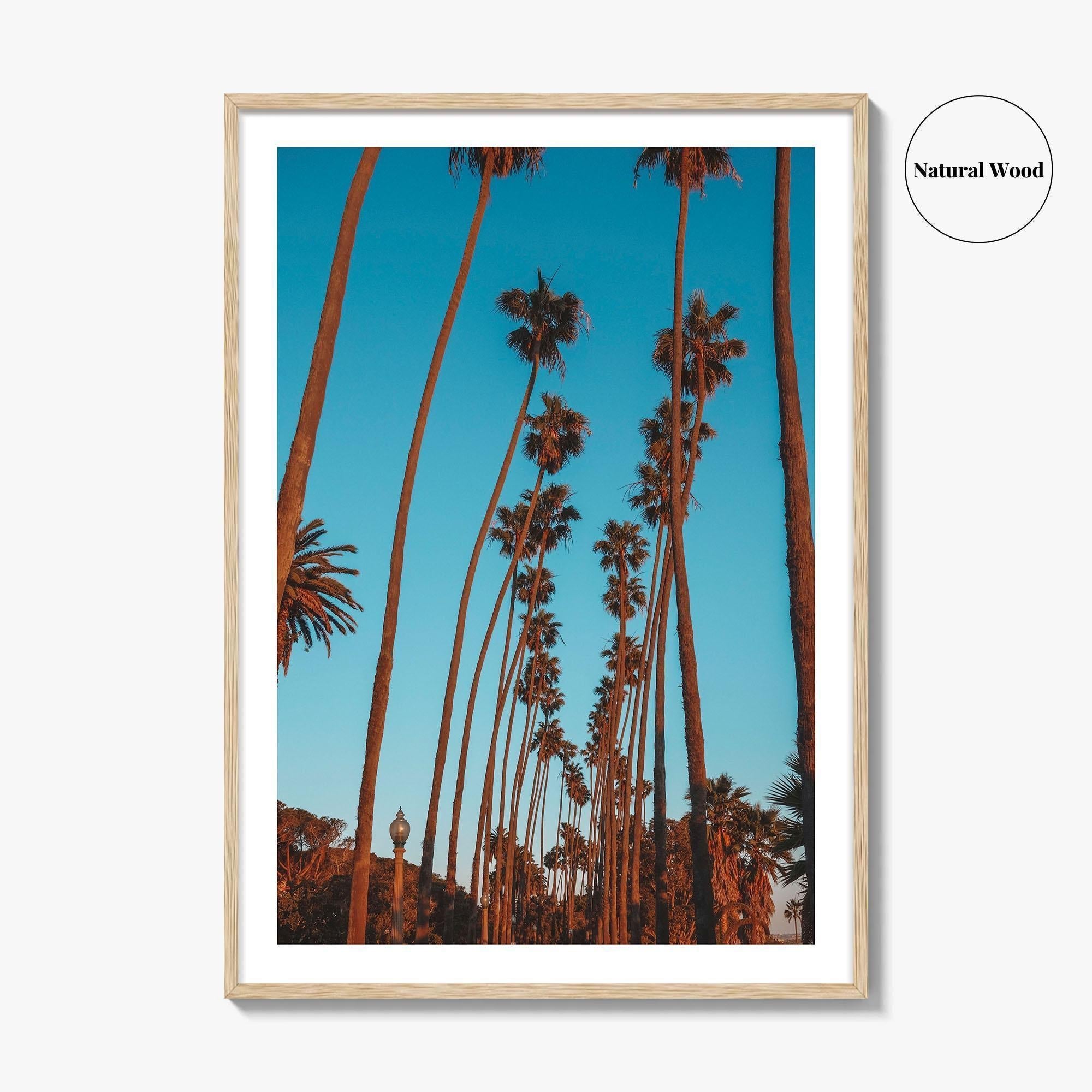 Pacific Palisades Fine Art Photo Print, Los Angeles, California, USA, Palms Poster