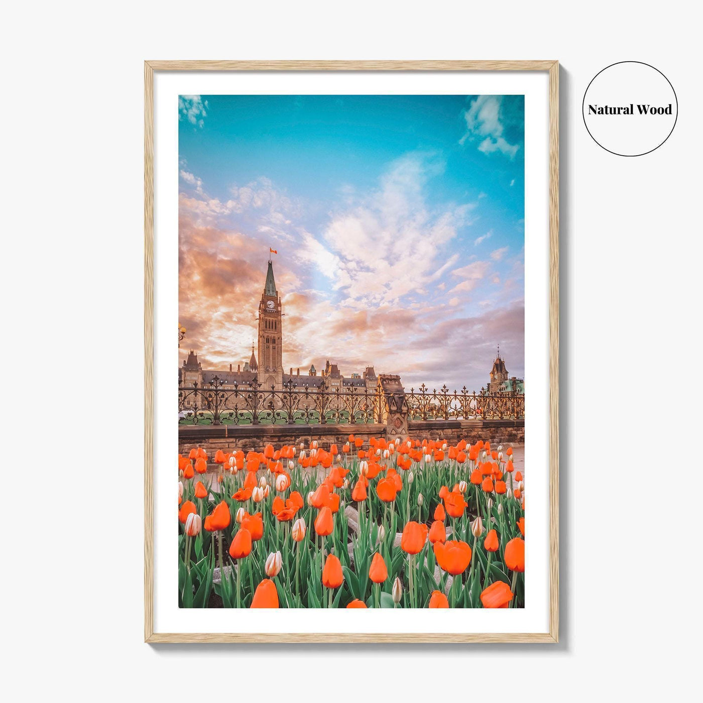 Ottawa Fine Art Photo Print, Parliament Hill, Canada, Ontario, Tulip Festival, Wall Decor