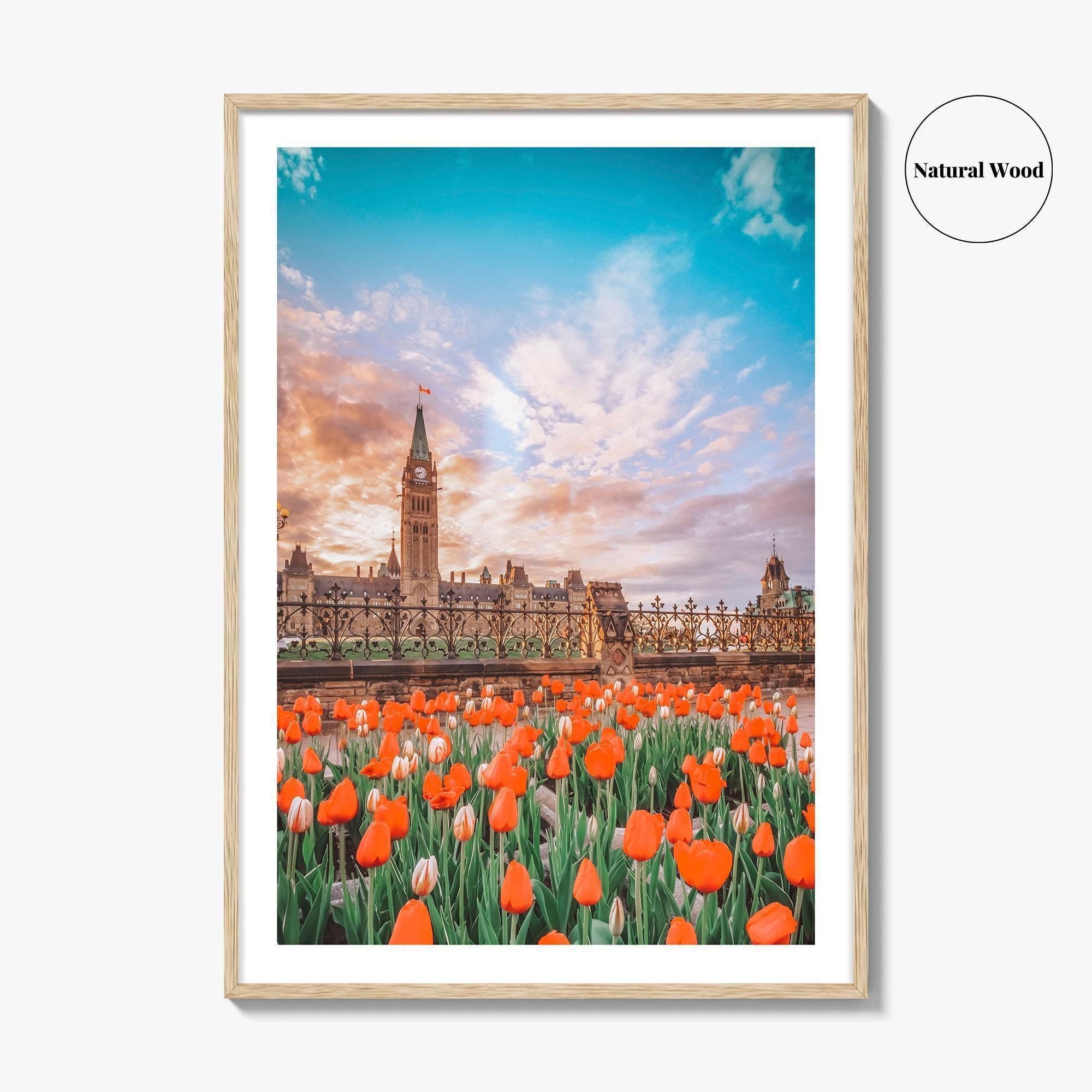 Ottawa Fine Art Photo Print, Parliament Hill, Canada, Ontario, Tulip Festival, Wall Decor