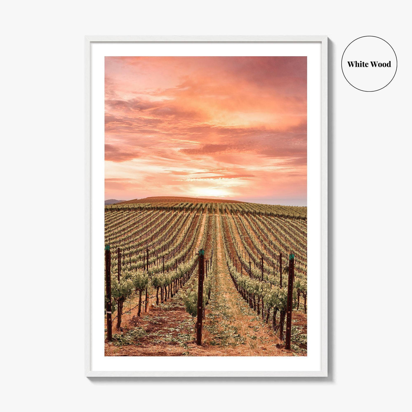 Napa Valley Fine Art Photo Print, Napa California Wine Country, Vineyards Mountains Poster