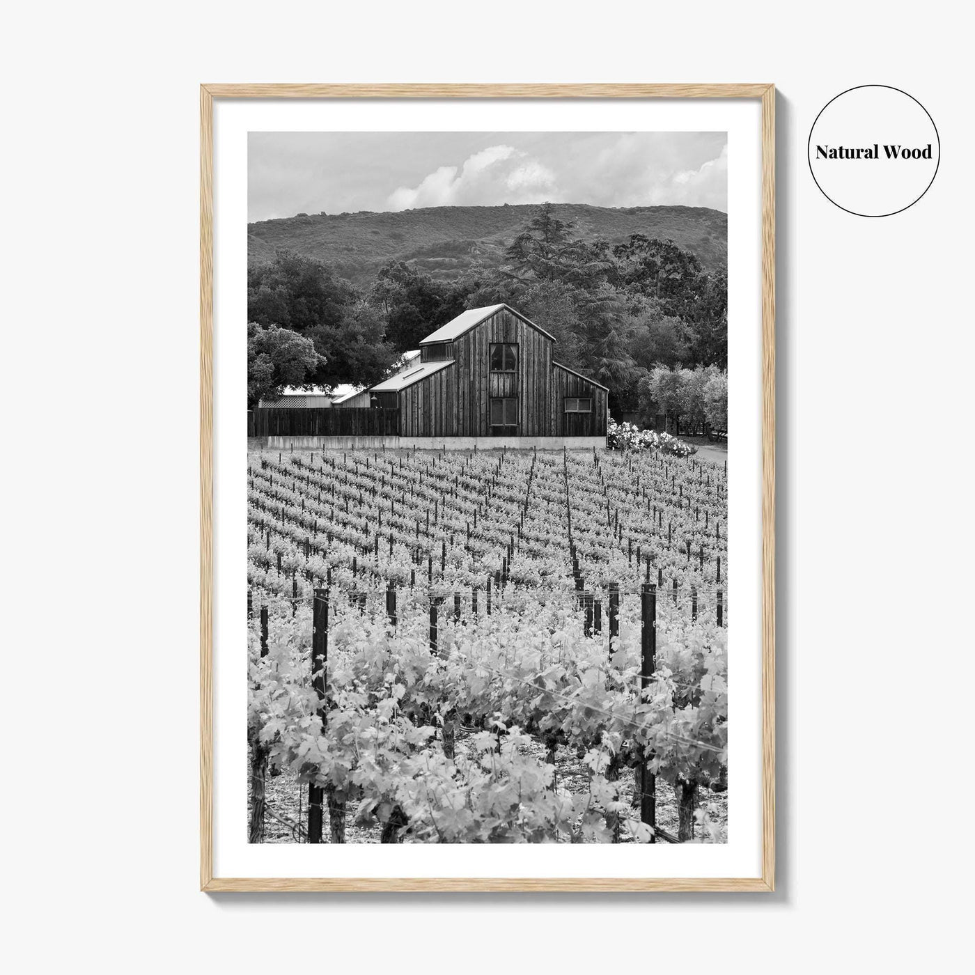 Napa Valley Black and White Fine Art Photo Print, Vineyards California Poster