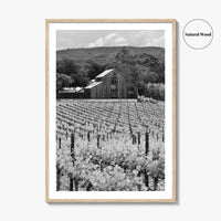 Napa Valley Black and White Fine Art Photo Print, Vineyards California Poster