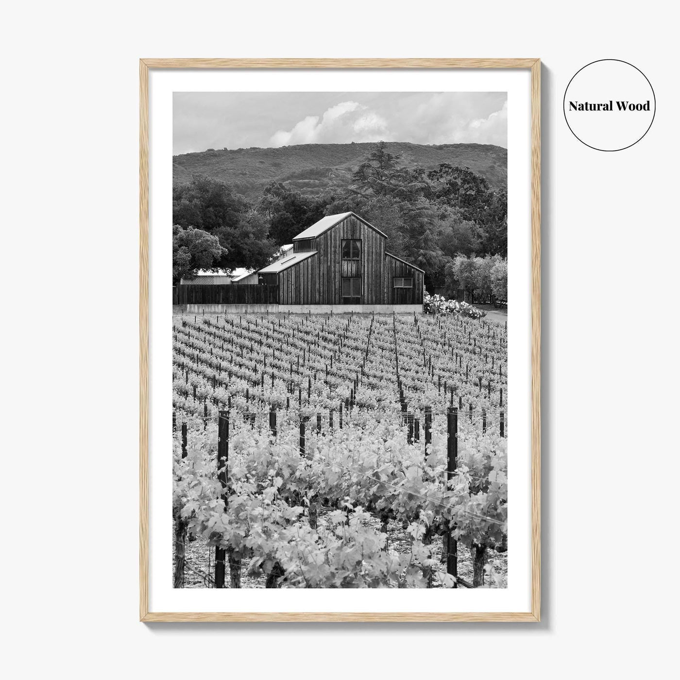 Napa Valley Black and White Fine Art Photo Print, Vineyards California Poster