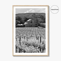 Napa Valley Black and White Fine Art Photo Print, Vineyards California Poster
