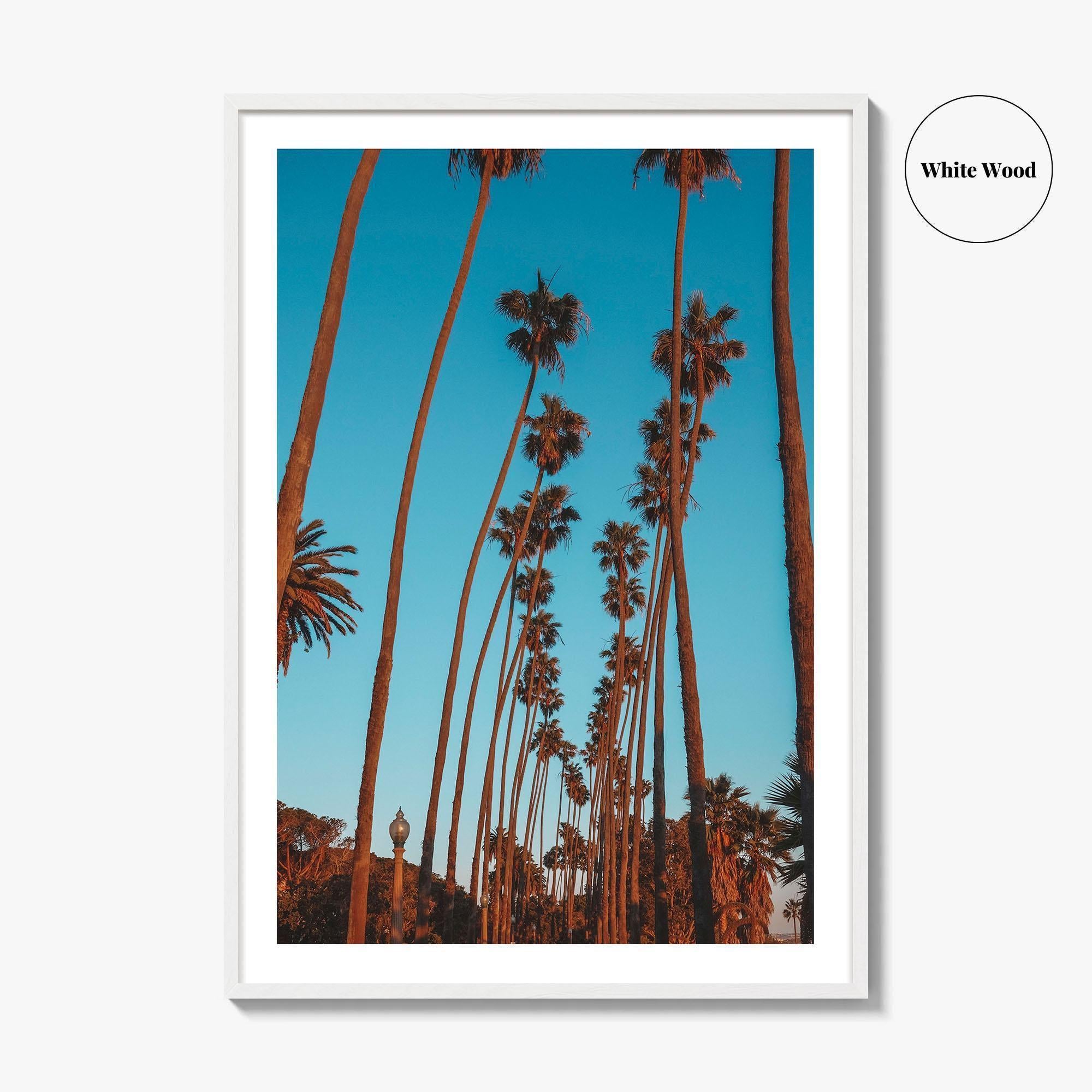 Pacific Palisades Fine Art Photo Print, Los Angeles, California, USA, Palms Poster
