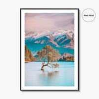 New Zealand Fine Art Photo Print, That Wanaka Tree, South Island Wall Poster