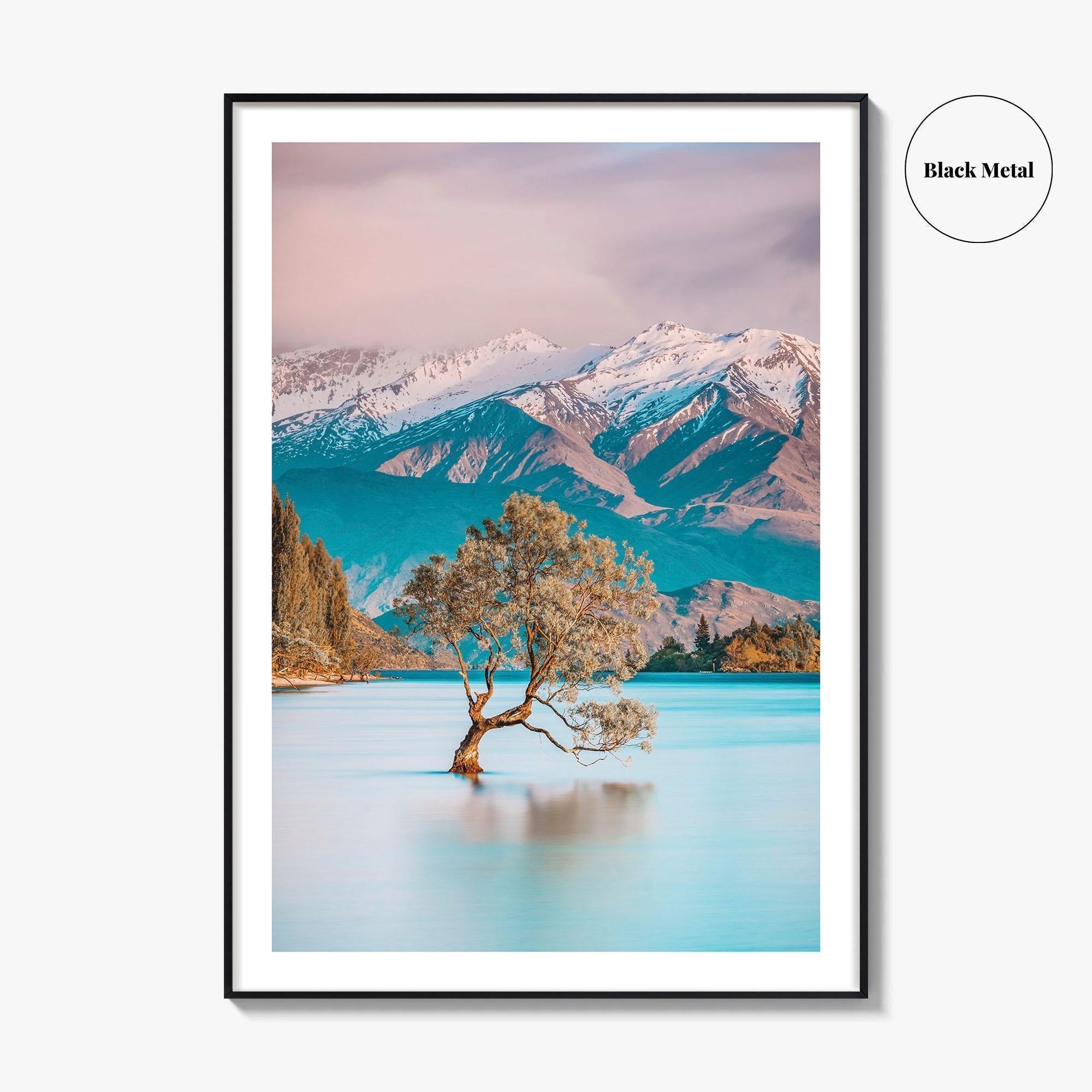 New Zealand Fine Art Photo Print, That Wanaka Tree, South Island Wall Poster