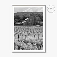 Napa Valley Black and White Fine Art Photo Print, Vineyards California Poster