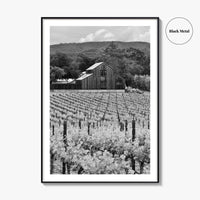 Napa Valley Black and White Fine Art Photo Print, Vineyards California Poster