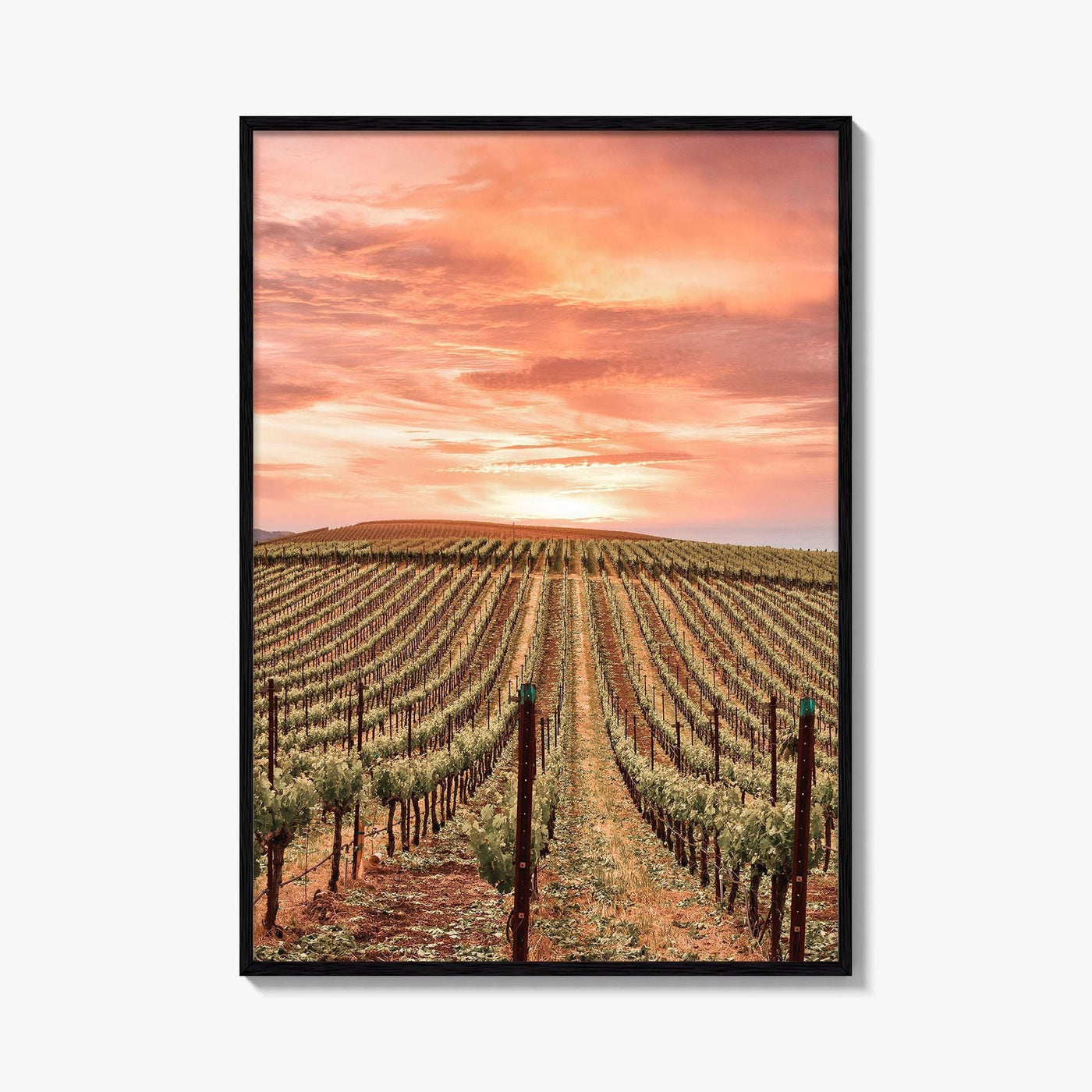 Napa Valley Fine Art Photo Print, Napa California Wine Country, Vineyards Mountains Poster