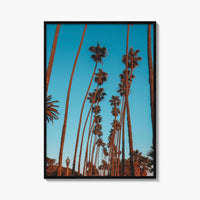 Pacific Palisades Fine Art Photo Print, Los Angeles, California, USA, Palms Poster