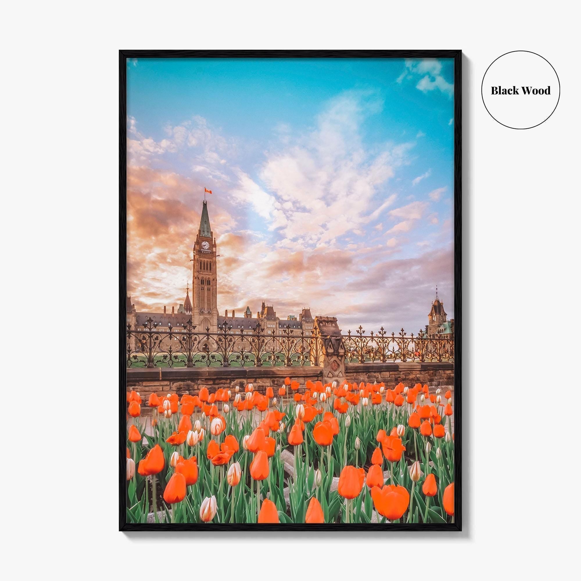 Ottawa Fine Art Photo Print, Parliament Hill, Canada, Ontario, Tulip Festival, Wall Decor