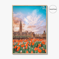 Ottawa Fine Art Photo Print, Parliament Hill, Canada, Ontario, Tulip Festival, Wall Decor