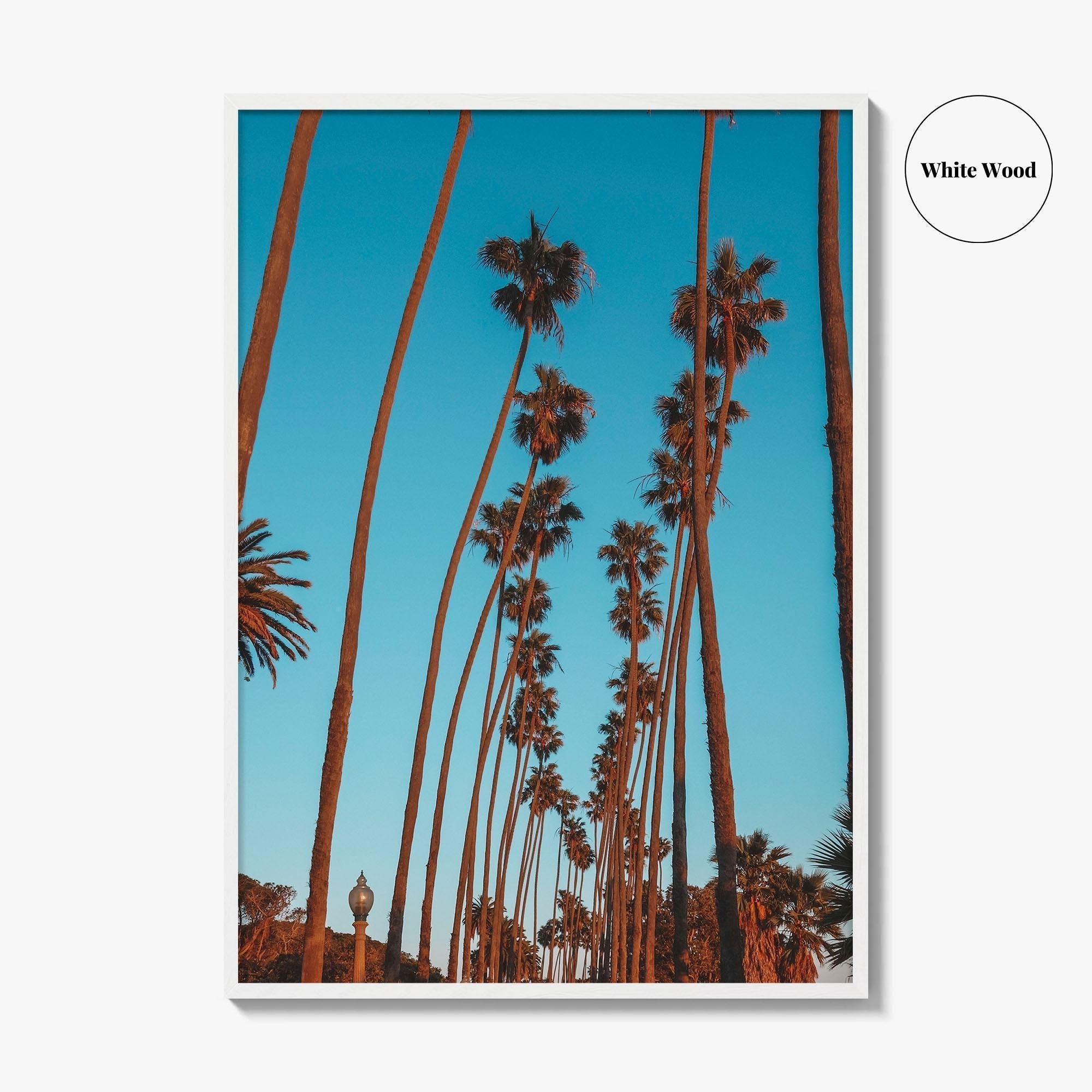Pacific Palisades Fine Art Photo Print, Los Angeles, California, USA, Palms Poster