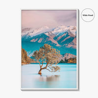 New Zealand Fine Art Photo Print, That Wanaka Tree, South Island Wall Poster