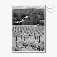 Napa Valley Black and White Fine Art Photo Print, Vineyards California Poster