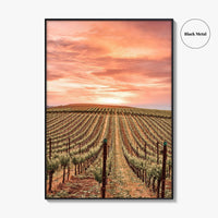 Napa Valley Fine Art Photo Print, Napa California Wine Country, Vineyards Mountains Poster