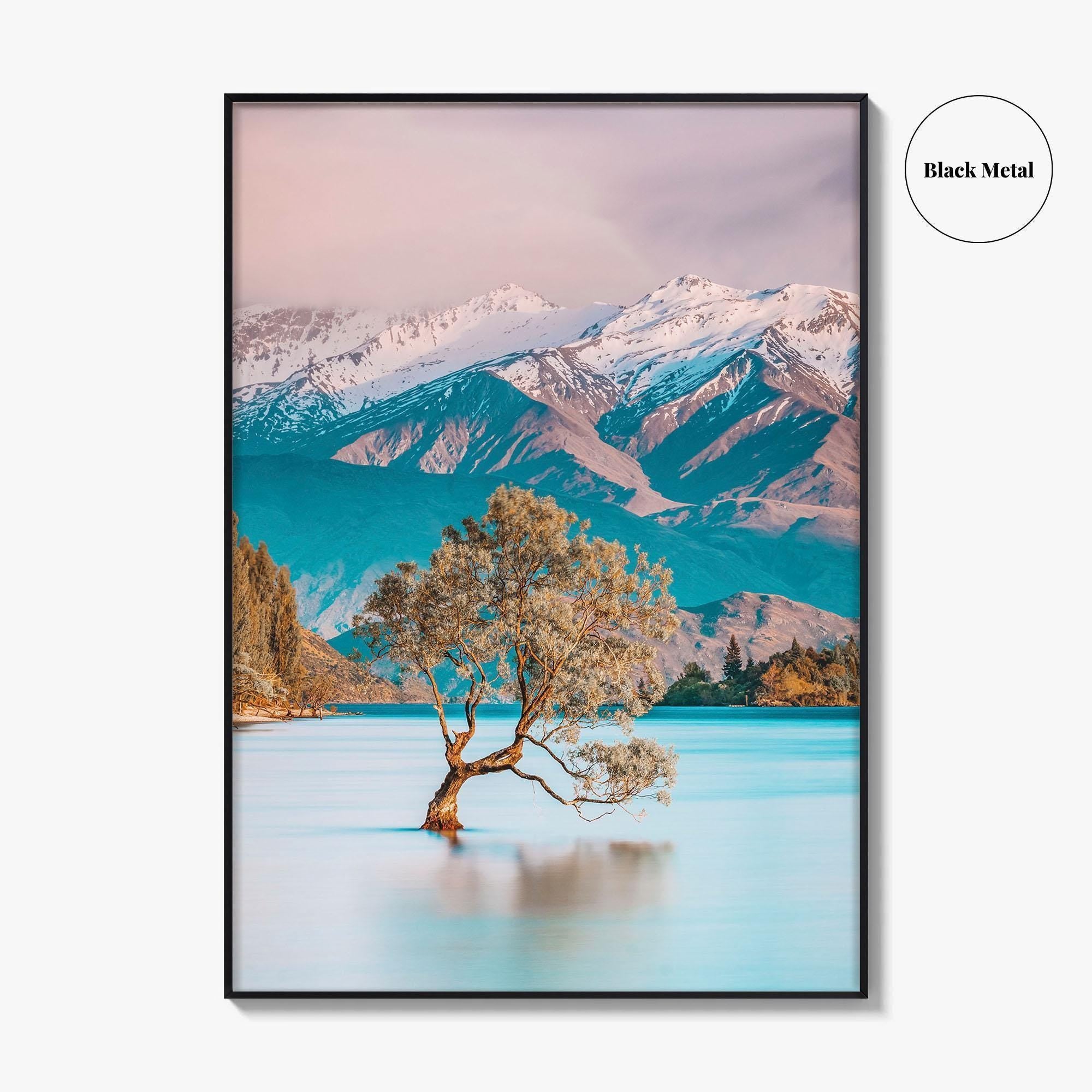 New Zealand Fine Art Photo Print, That Wanaka Tree, South Island Wall Poster