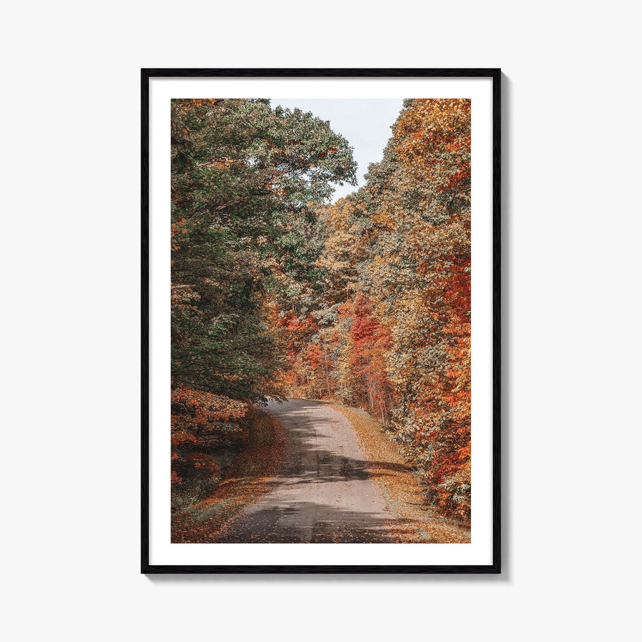 Morgantown Fine Art Photo Print, Coopers Rock State Park, Cheat Lake, WV Poster