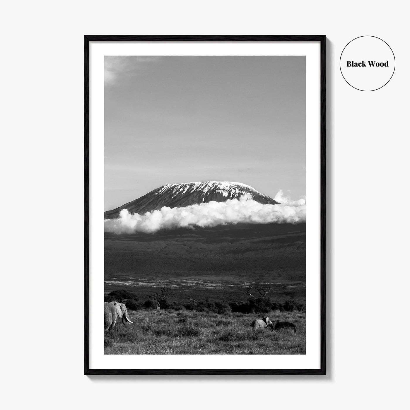 Mount Kilimanjaro Black and White Fine Art Photo Print, Tanzania Elephants Poster, Amboseli Wildlife