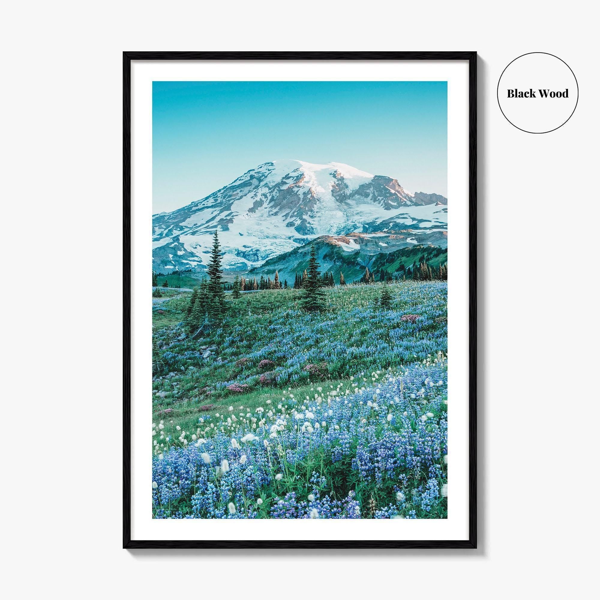 Mount Rainier National Park Fine Art Photo Print, Washington State, Mazama Ridge, Wildflowers